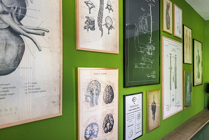 Eine grüne Wand, geschmückt mit verschiedenen wissenschaftlichen Illustrationen. Die Bilder zeigen Anatomiezeichnungen, darunter das menschliche Herz, Wirbelsäule und Gehirn. Einige Bilder sind in Holzrahmen gefasst. In einer Ecke befindet sich ein Schild mit Informationen zu freiem WLAN.